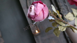 Roos dried zijden bloem | roze