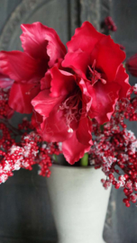Amaryllis namaak bloem | rood