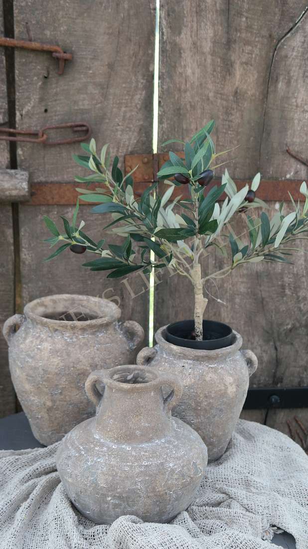 Vaas Suzo | Willem L