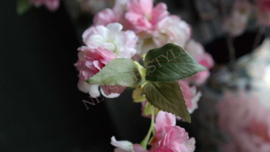 Kersen Bloesem tak zijden | roze/groen