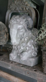 Ornament ramskop | grey