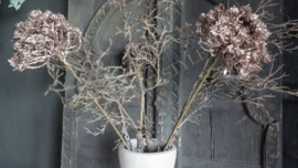 Berenklauw tak namaak 60 cm | bruin glitter