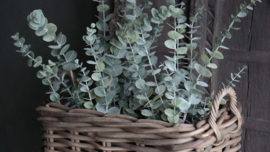 Plantenmand rotan thick