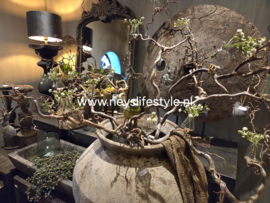 Mini vaas set | glas 3 st