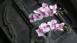Orchidee kunst tak roze l 106 cm