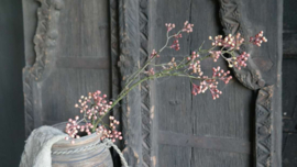 Bessen tak kunst | rose/rood
