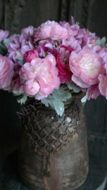 Ranonkel bloem zijden | roze