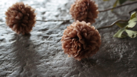 Dahlia bloem kunst | cappuccino