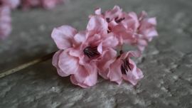 Prunus kunst bloem | roze