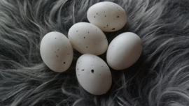 Zak met 24 plastic peewit eggs |  6 cm