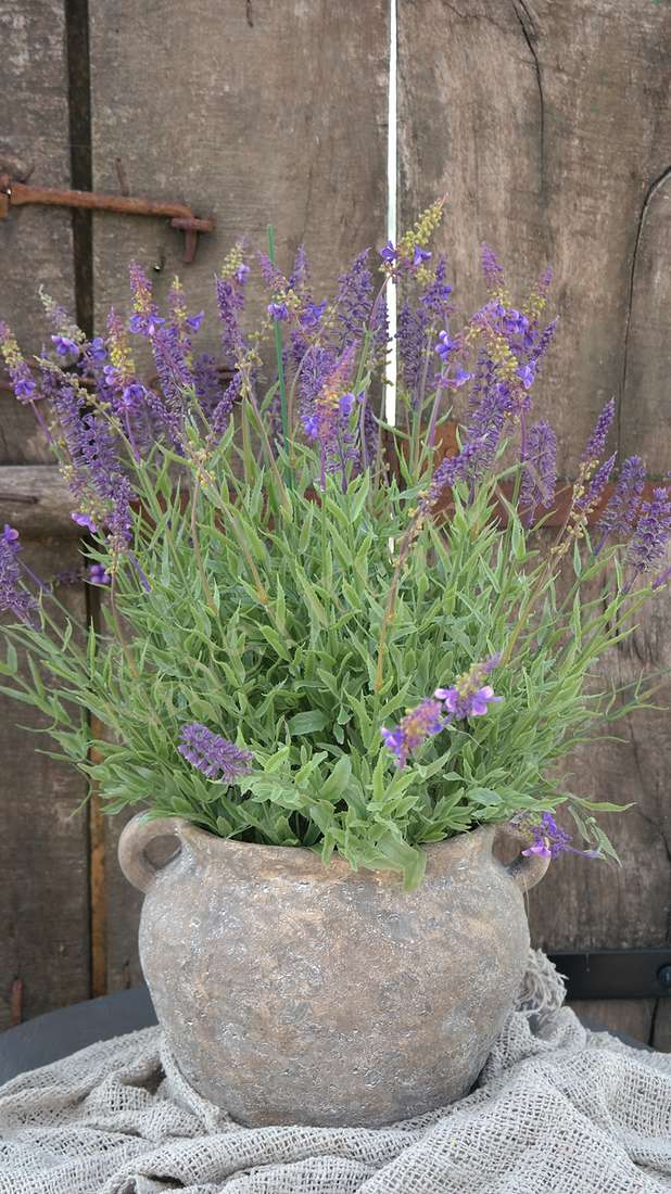 Lavendel plant in pot kunst | 58 cm