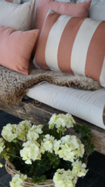 Outdoor basis kussen peach  | 30 x 50 cm