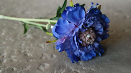 Scabosia tak blauw/paars | kunst 58 cm