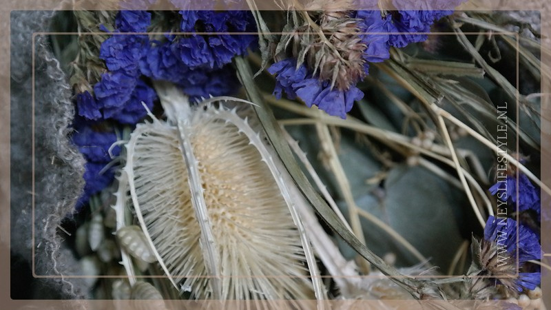 Bos droogbloemen | Purple