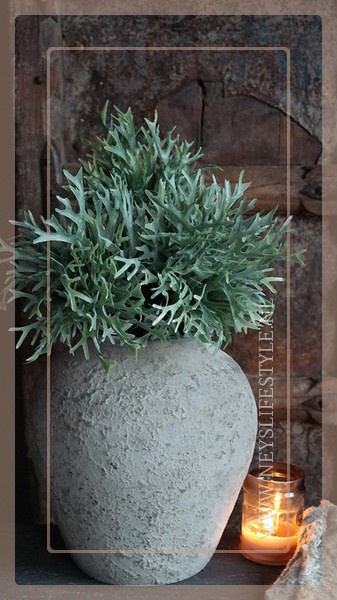 Plant kunst Platycerium/hersthoorn