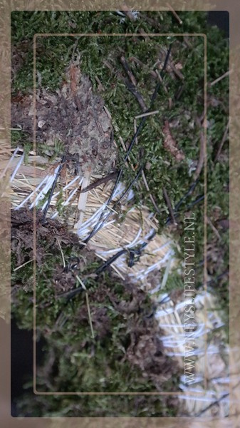 Krans mos naturel | 45 cm