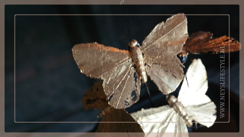 Stolp vlinder | ovaal