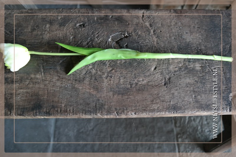 Tulp in bloei kunst 43 cm | créme