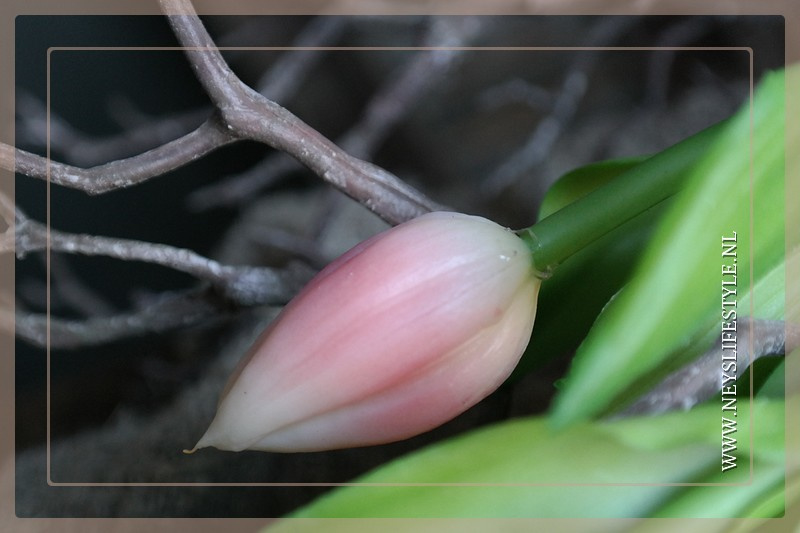 Tulp in knop kunst 36 cm | roze
