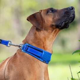 Rogz 4 Dogz Classic Padded Collar Rood
