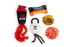 Beeztees Kattenspeelgoed Workout Toys set | Kattenspeelgoed