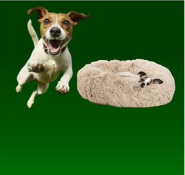 Slaap en Ligcomfort