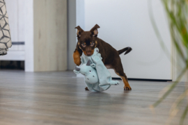 Puppy Knuffeldoek Draak Yi