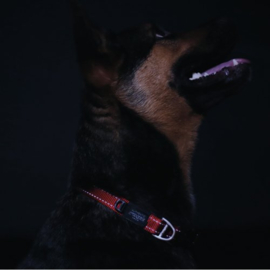 Rogz 4 Dogz Nylon Halsband Rood
