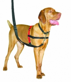 Halti Harness medium