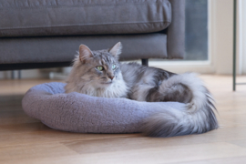 Minus One Kattenmandje Quinty Lichtgrijs