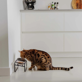 District70 Kattenvoerbakstandaard Butler Grijs