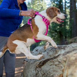 Rogz 4 Dogz Explore Harness Rood