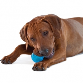 PetStages Orka Tennisbal