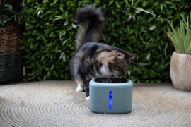Katten Drinkfontijn AquaBella Groen