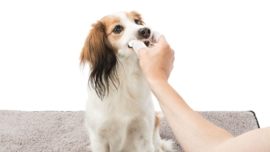 Trixie Dental vinger doekjes (50 stuks)
