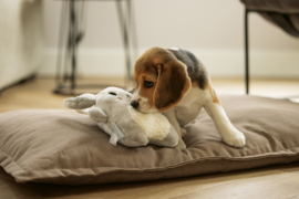 Puppy Toy Rabbit Snoet