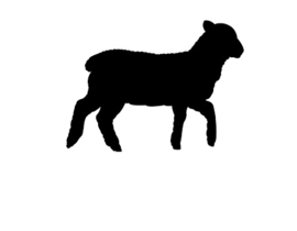 Hondensnacks lam