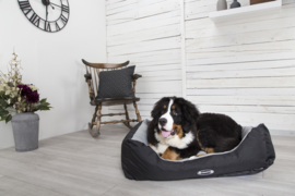 Scruffs Expedition Box Bed