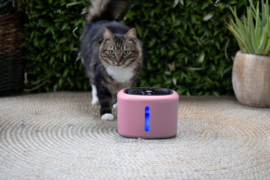 Katten Drinkfontijn AquaBella Roze