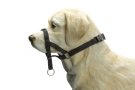 Dog Control (anti trek halster)