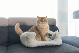 Kattenmandje Baboo licht grijs