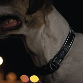 Rogz 4 Dogz Nylon Halsband Zwart