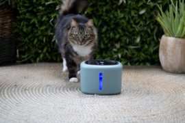 Katten Drinkfontijn AquaBella Groen