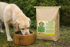 Darf Puppy 14 kg.