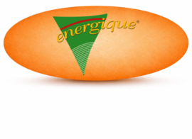 Energique / Nutriment Hondenvoer