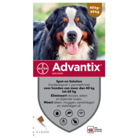 Bayer Advantix Hond 600