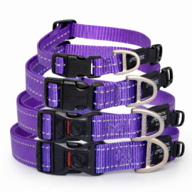 Rogz 4 Dogz Nylon Halsband Paars