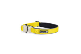 Lichtgevende Halsband Parinca Geel Large