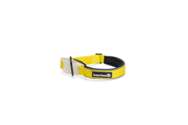 Lichtgevende Halsband Parinca Geel Medium