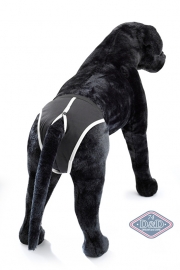 Loopsheidbroekje Ebi Dog Pants